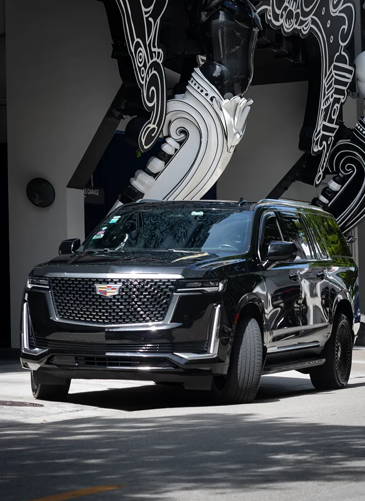 Hand-Picked for Excellence​